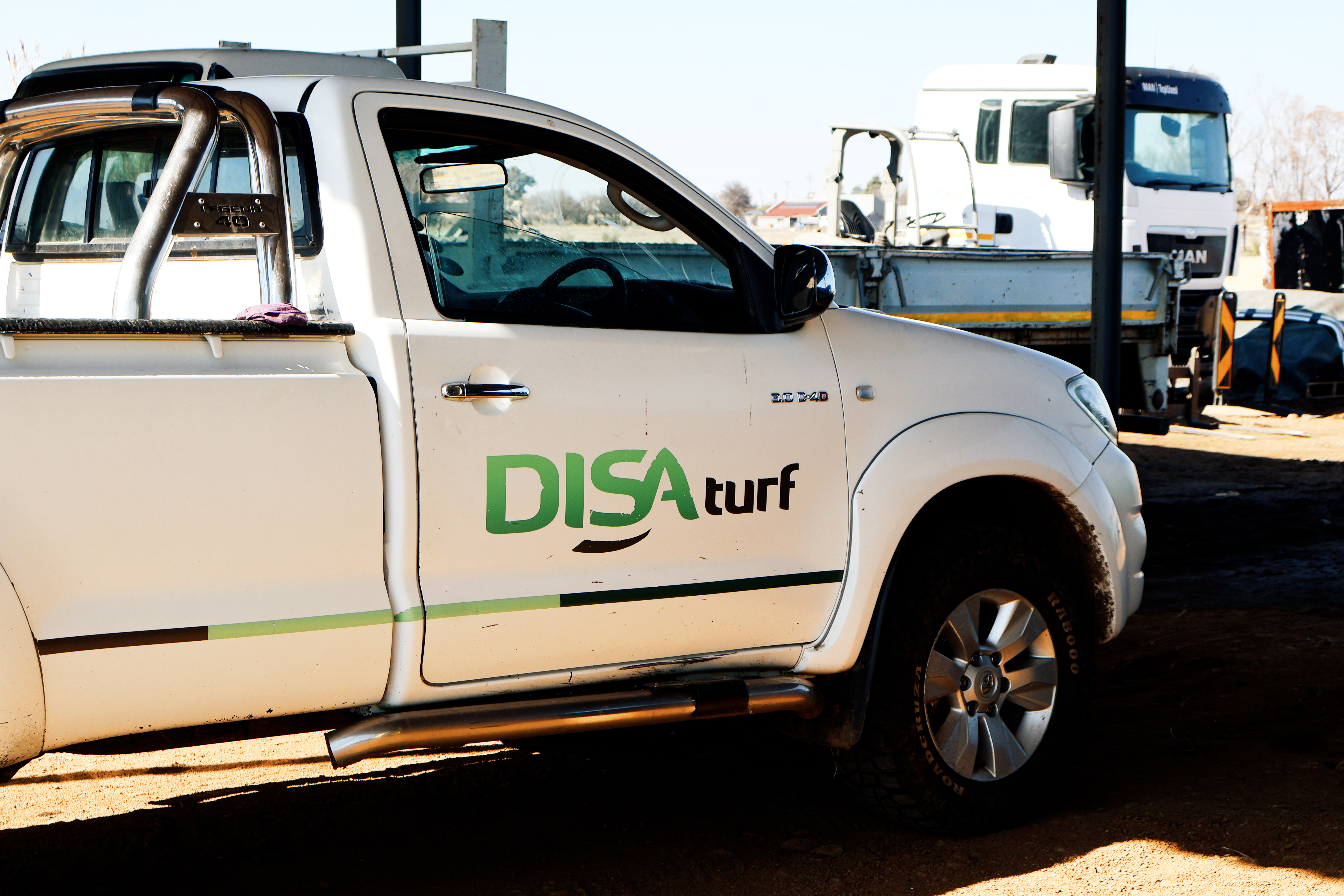 Disa Turf project